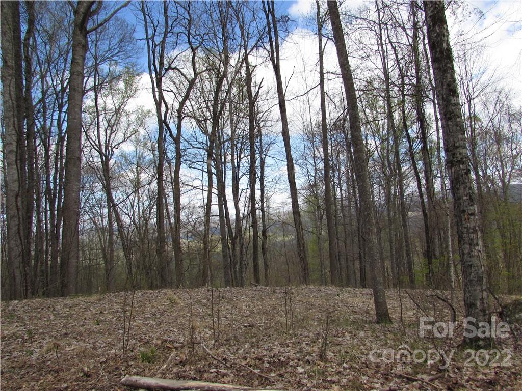 Multiple Lots Red Wolf Run Mars Hill NC 28754