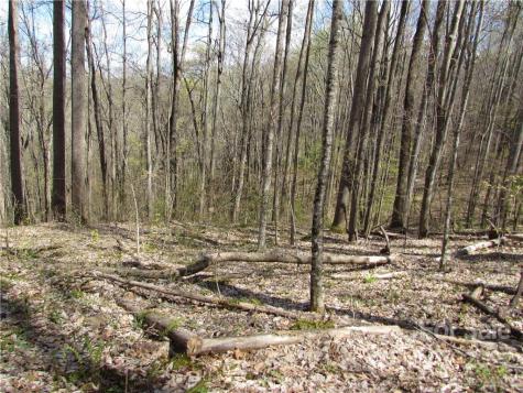 Multiple Lots Red Wolf Run Mars Hill NC 28754