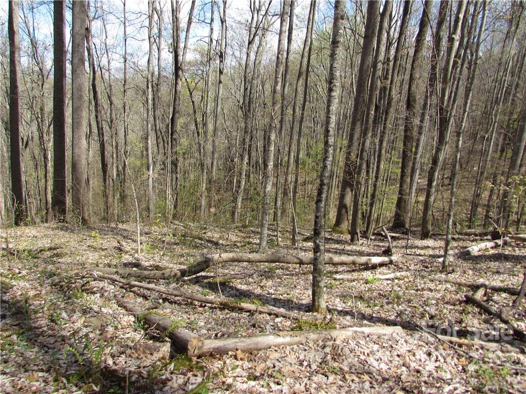 Multiple Lots Red Wolf Run Mars Hill NC 28754