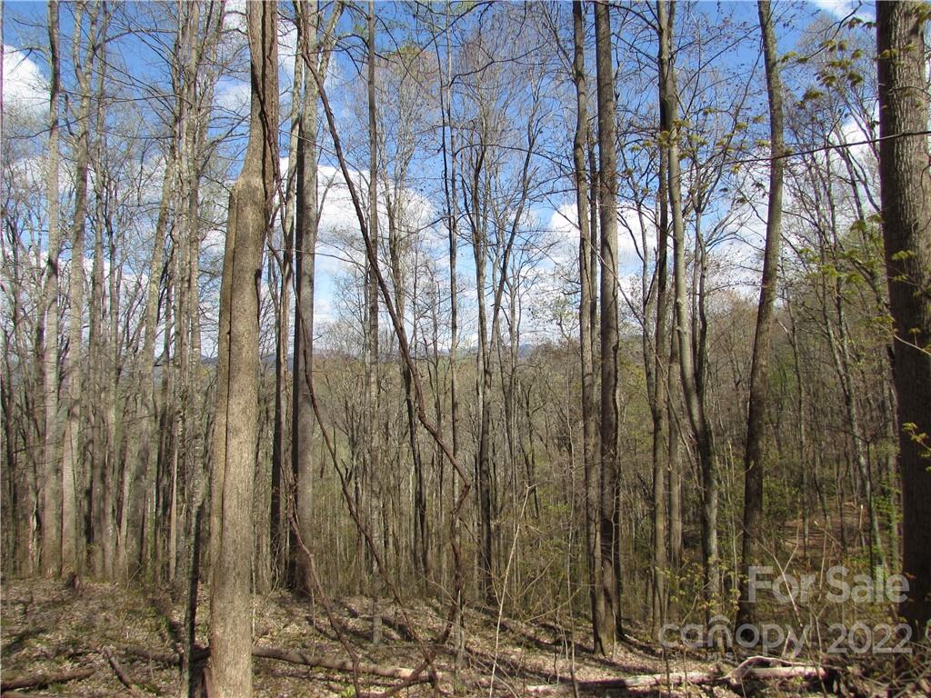 Multiple Lots Red Wolf Run Mars Hill NC 28754