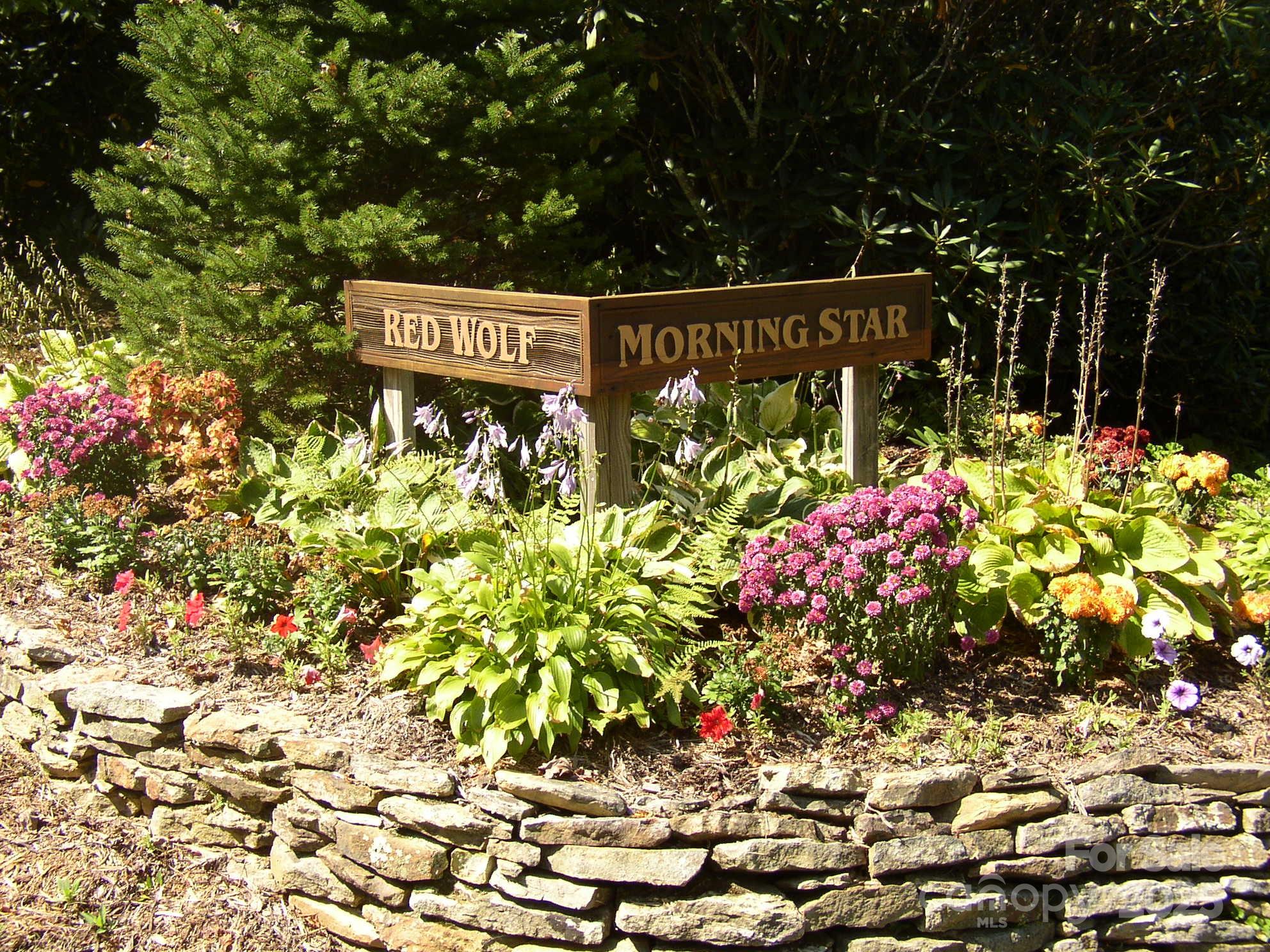 Lot 24 Red Wolf Blowing Rock NC 28605