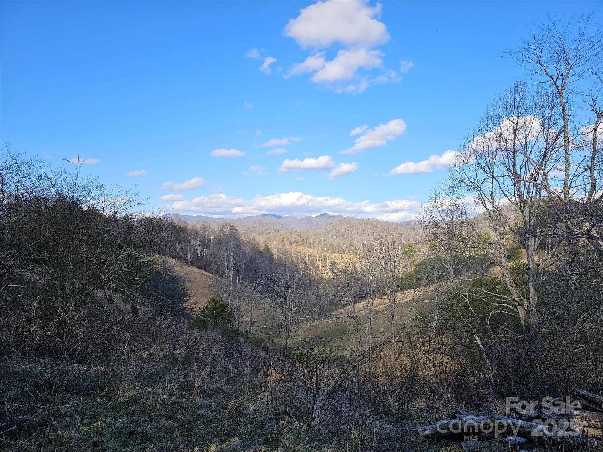 222 Indigo Bunting Lane Marshall NC 28753