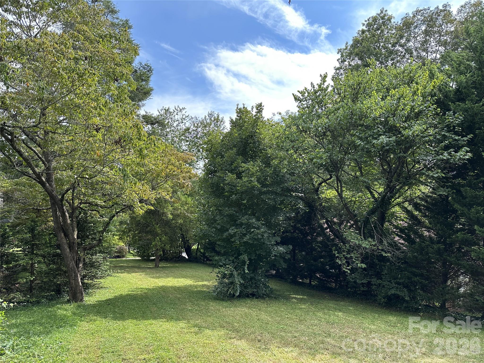 61 Maney Avenue Asheville NC 28804