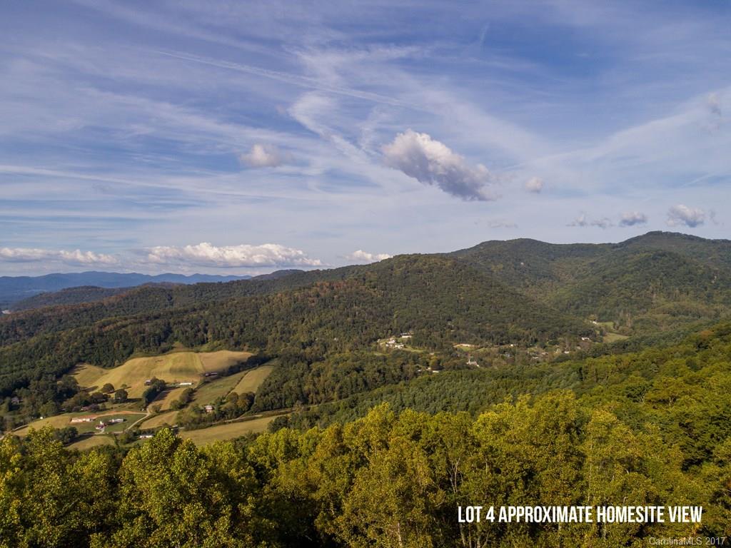 36 Longstreet Court Weaverville NC 28787