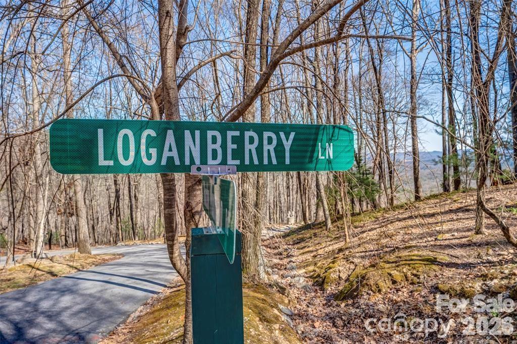 Tbd Loganberry Lane Lake Toxaway NC 28747