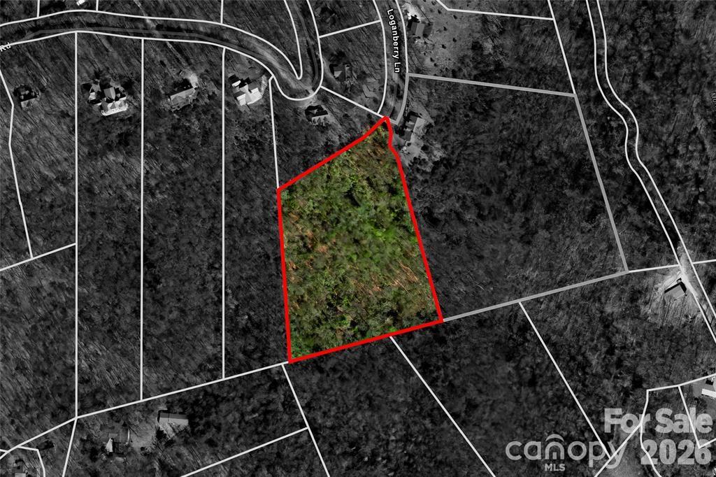 Tbd Loganberry Lane Lake Toxaway NC 28747