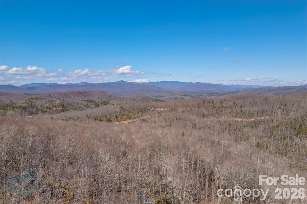 Tbd Loganberry Lane Lake Toxaway NC 28747