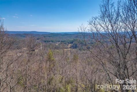 Tbd Loganberry Lane Lake Toxaway NC 28747