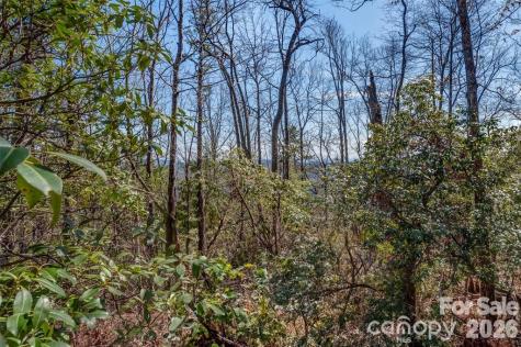 Tbd Loganberry Lane Lake Toxaway NC 28747