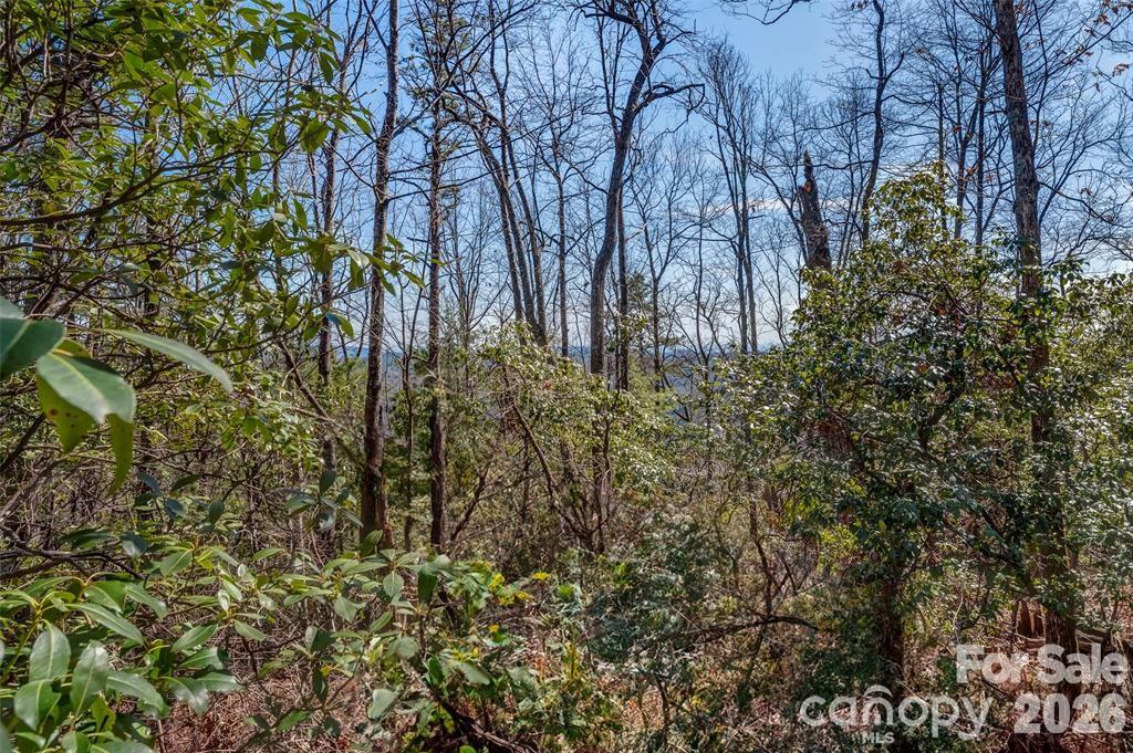 Tbd Loganberry Lane Lake Toxaway NC 28747