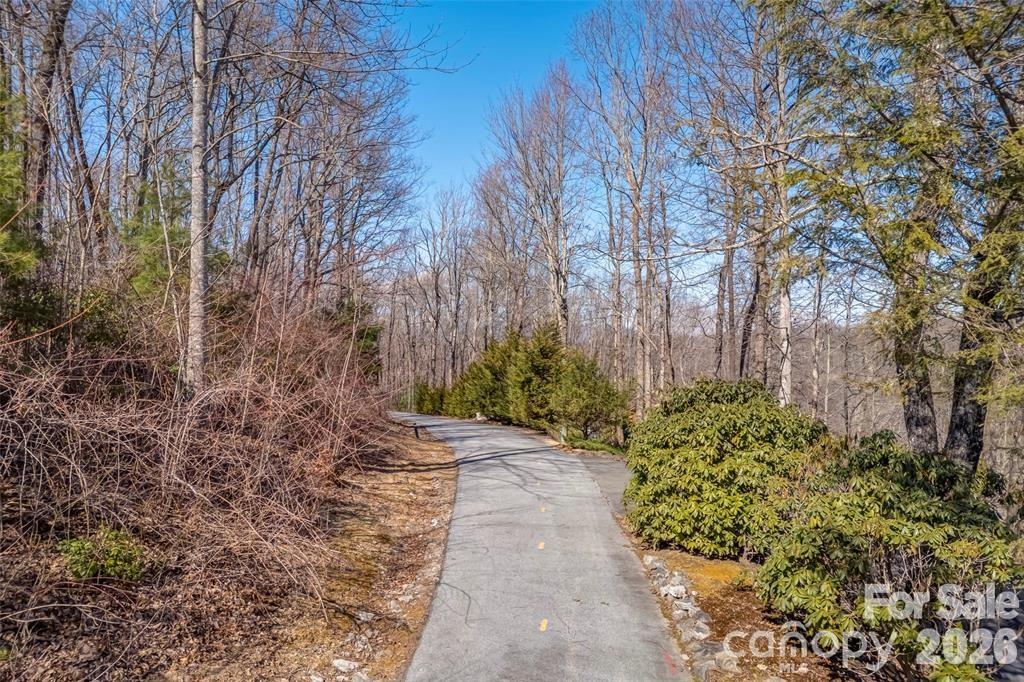 Tbd Loganberry Lane Lake Toxaway NC 28747