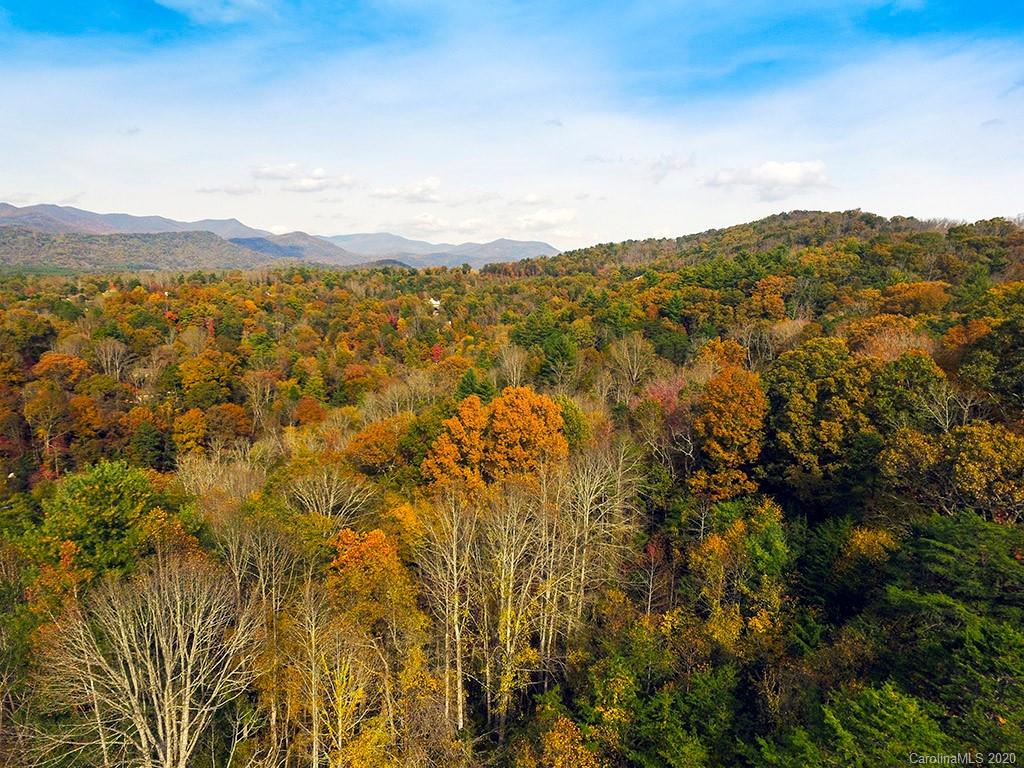 141 Riverbend Forest Drive Asheville NC 28805