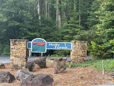 66 W Christy Trail Sapphire NC 28774
