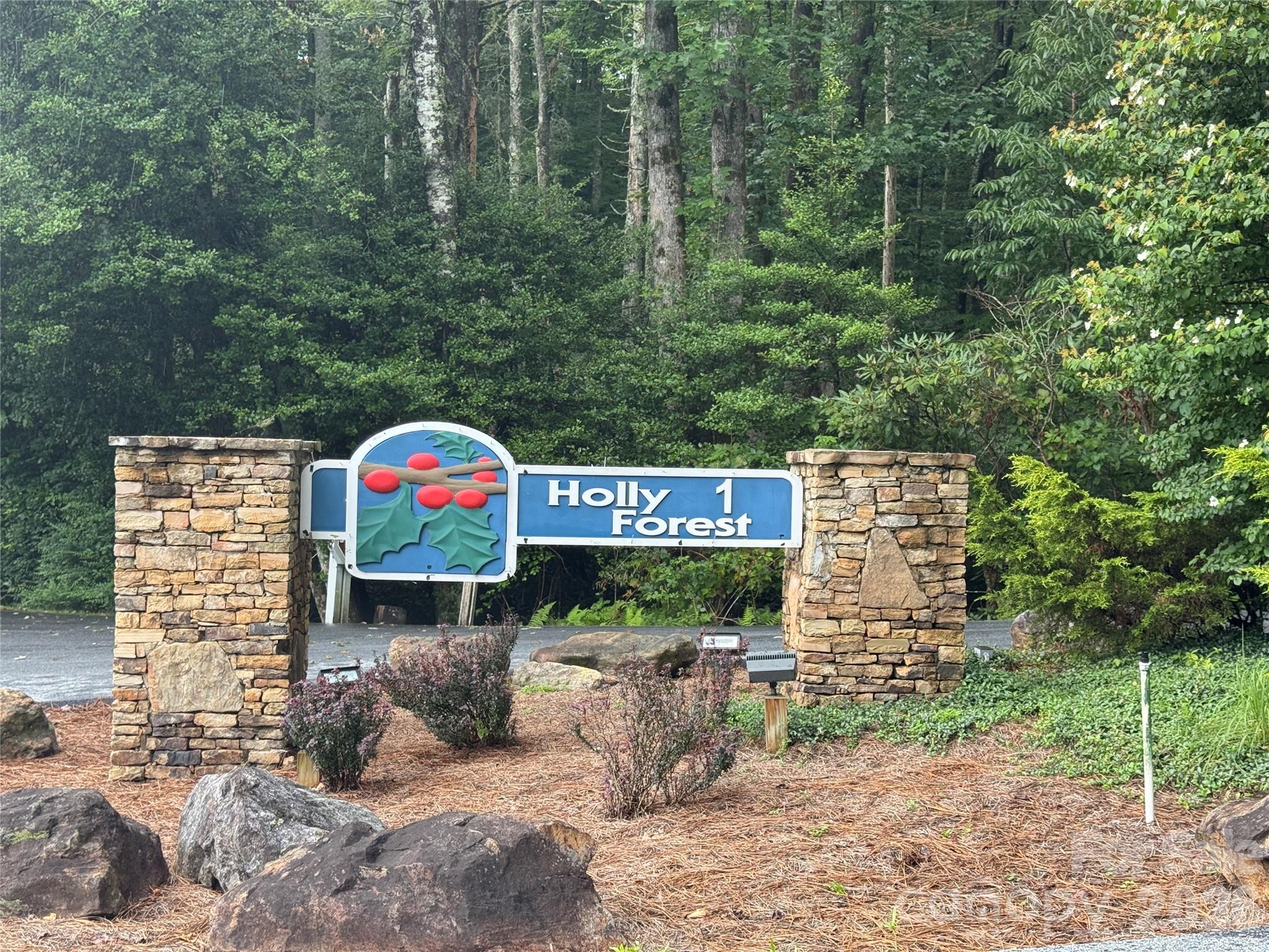 66 W Christy Trail Sapphire NC 28774