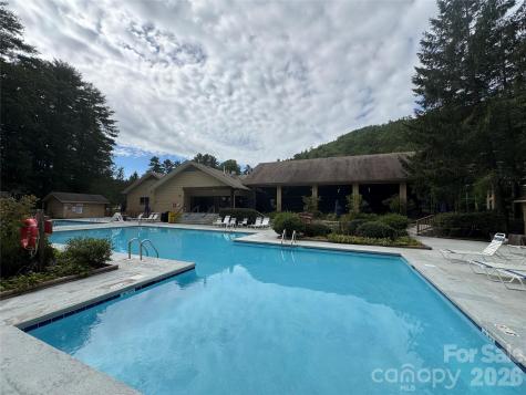 66 W Christy Trail Sapphire NC 28774