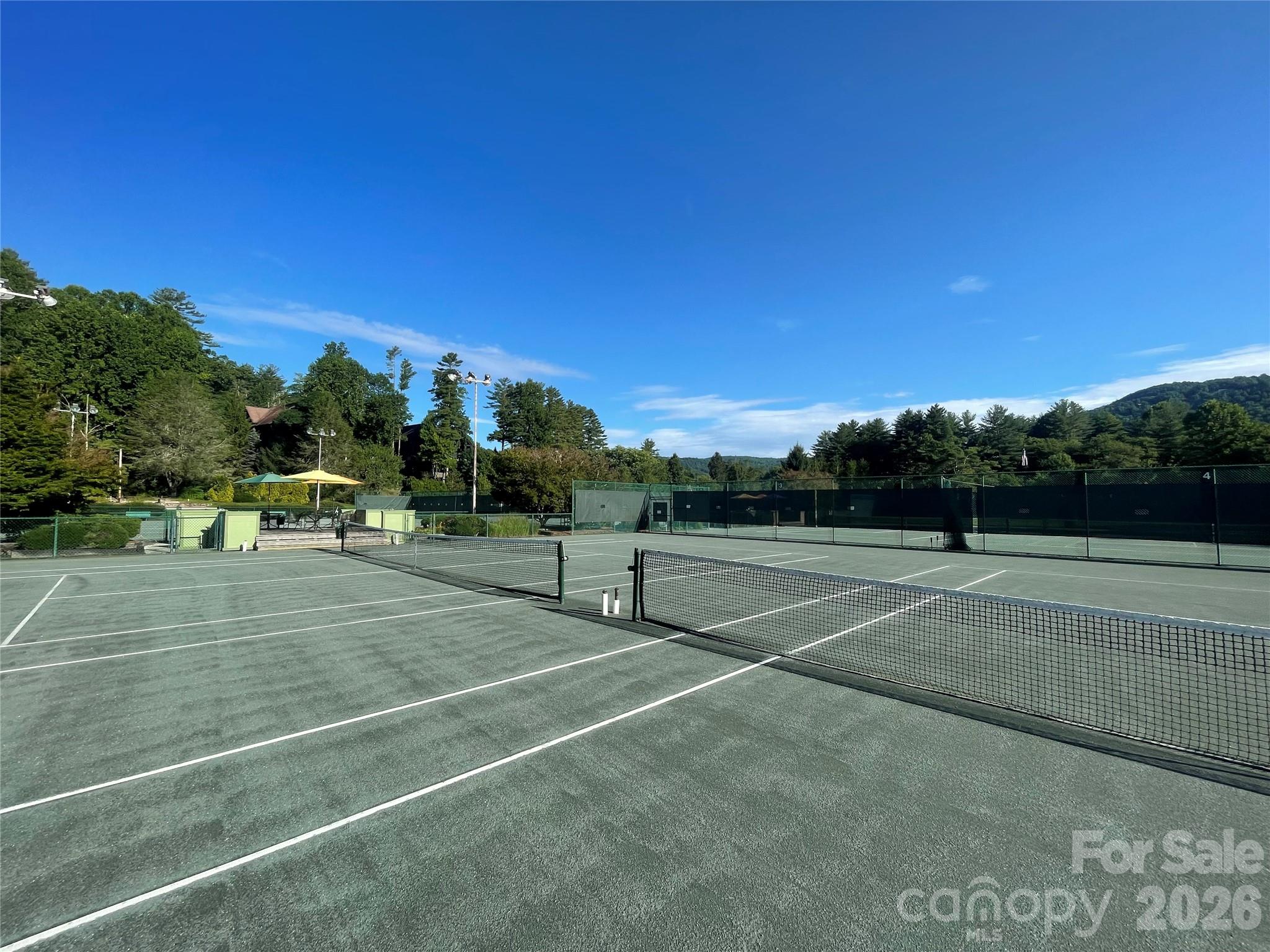 66 W Christy Trail Sapphire NC 28774