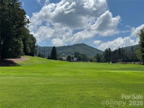 66 W Christy Trail Sapphire NC 28774