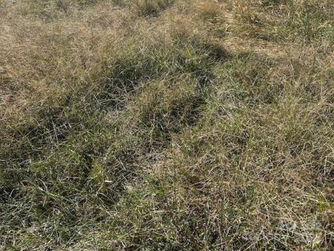 00 White Store Road Wingate NC 28174