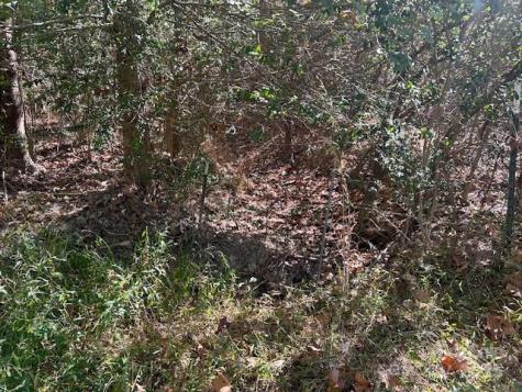 00 White Store Road Wingate NC 28174