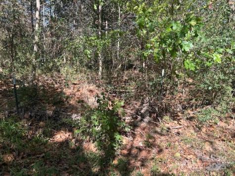 00 White Store Road Wingate NC 28174