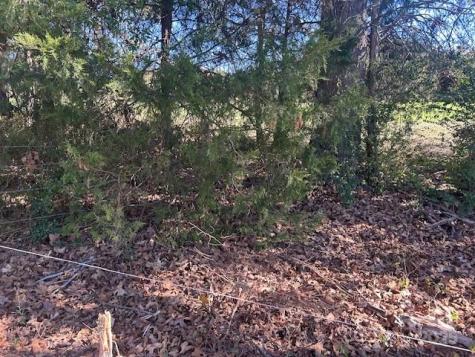 00 White Store Road Wingate NC 28174