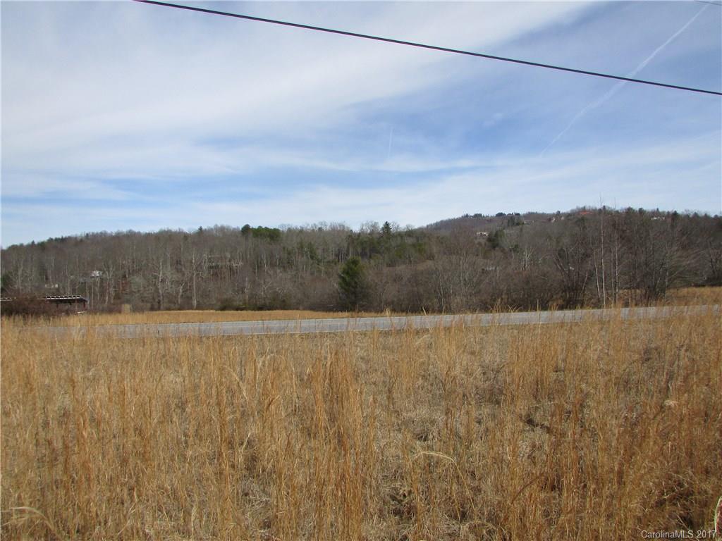 000 Big Willow Road, Hendersonville NC Real Estate Listing MLS