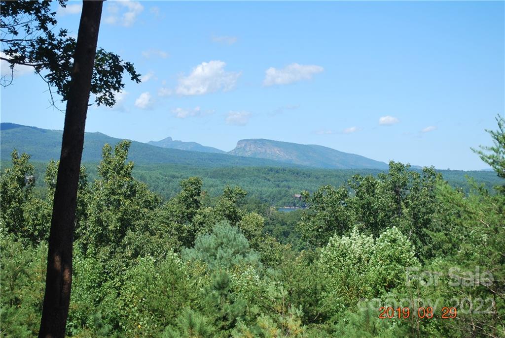 675 Harborside Drive Nebo NC 28761