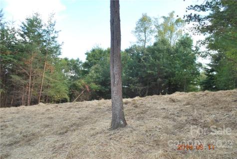 675 Harborside Drive Nebo NC 28761