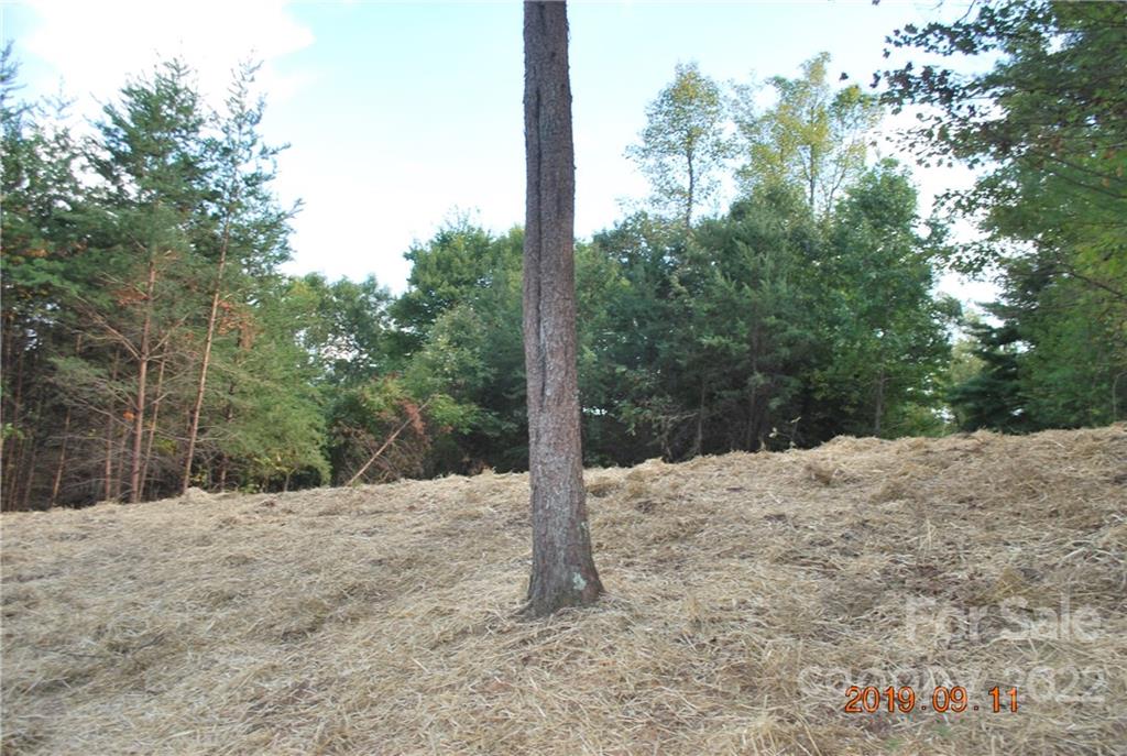 675 Harborside Drive Nebo NC 28761