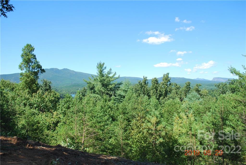 675 Harborside Drive Nebo NC 28761