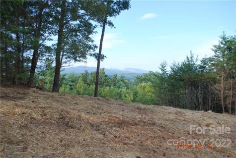 675 Harborside Drive Nebo NC 28761