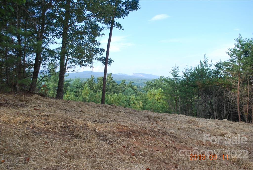 675 Harborside Drive Nebo NC 28761