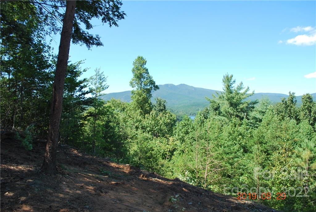 675 Harborside Drive Nebo NC 28761