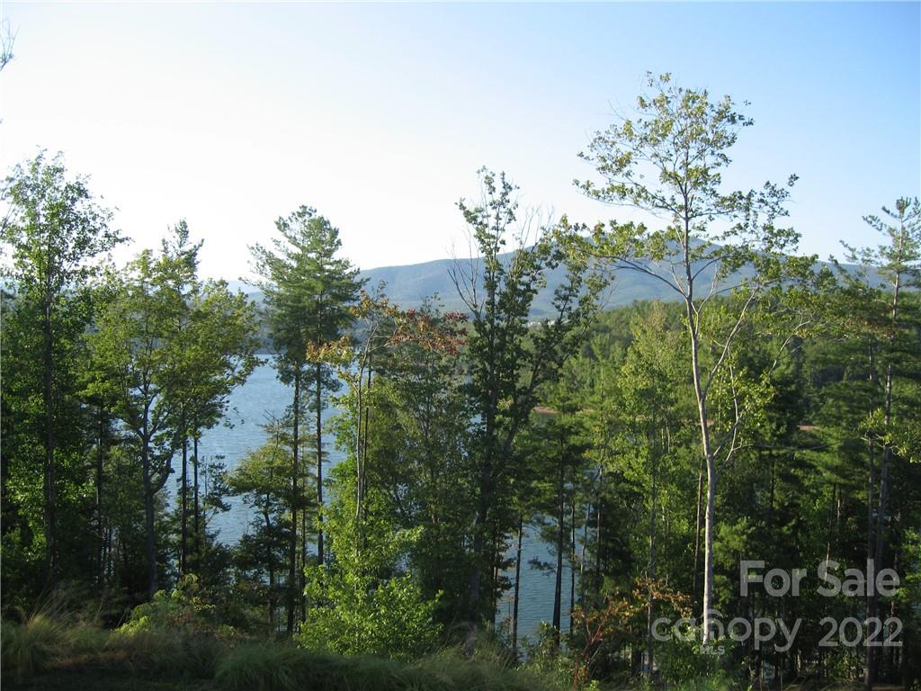 675 Harborside Drive Nebo NC 28761