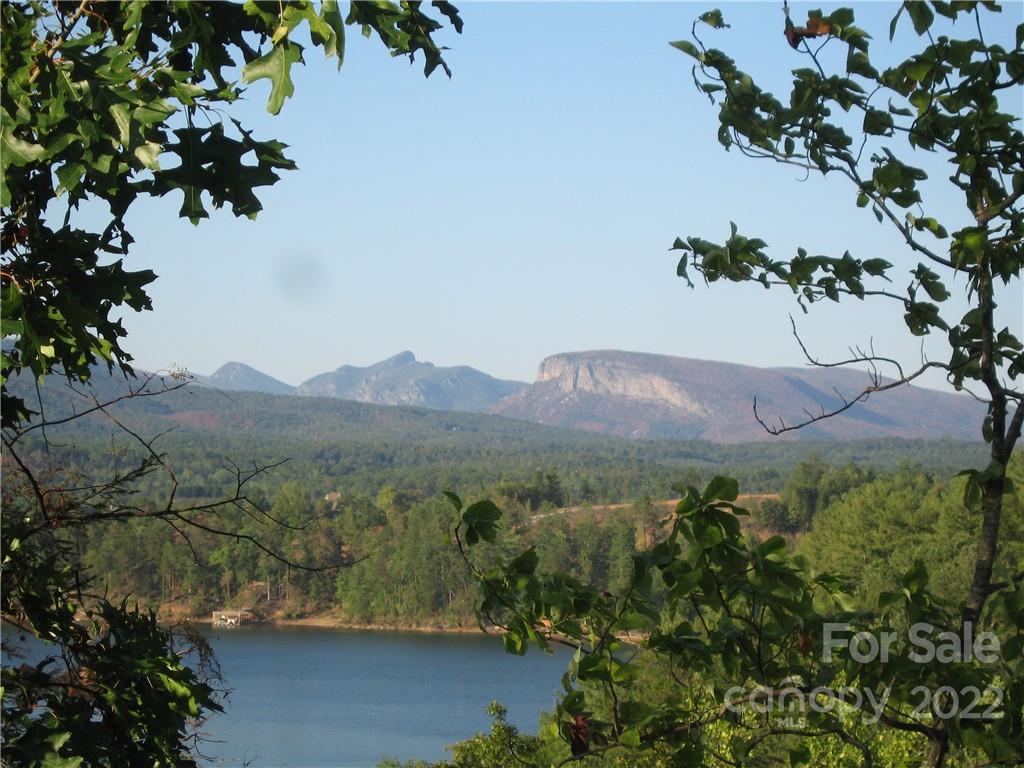 675 Harborside Drive Nebo NC 28761
