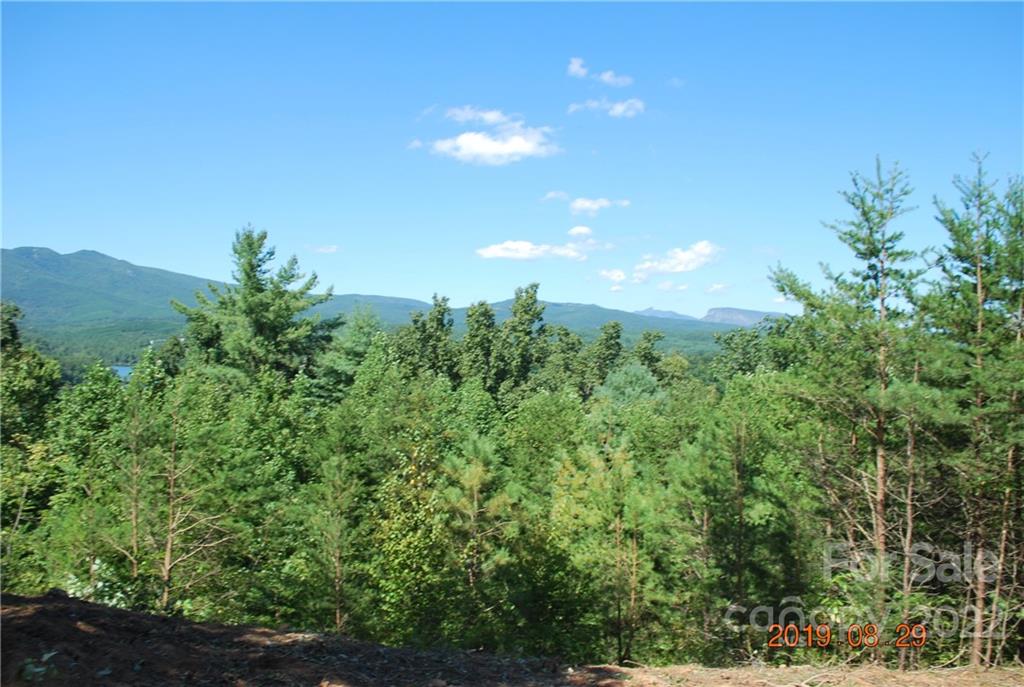 675 Harborside Drive Nebo NC 28761