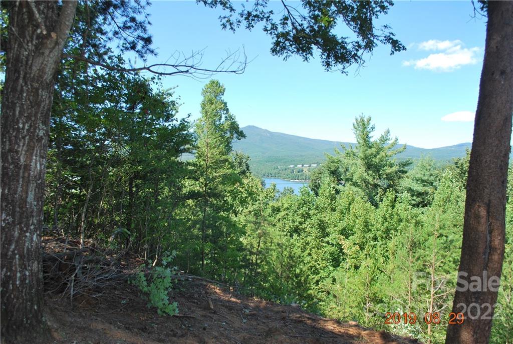 675 Harborside Drive Nebo NC 28761