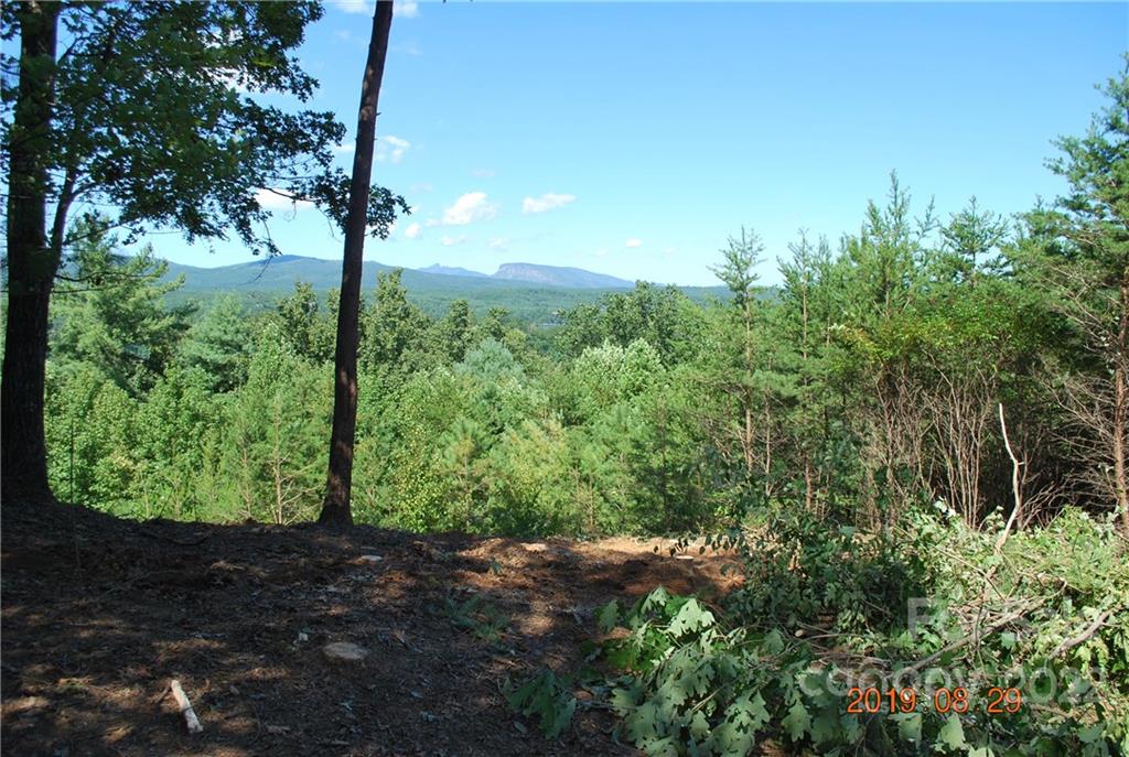 675 Harborside Drive Nebo NC 28761