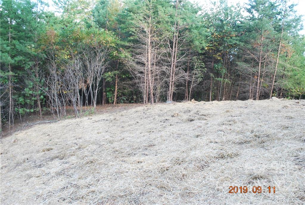 675 Harborside Drive Nebo NC 28761