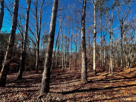 150 Copper Pine Lane Davidson NC 28036