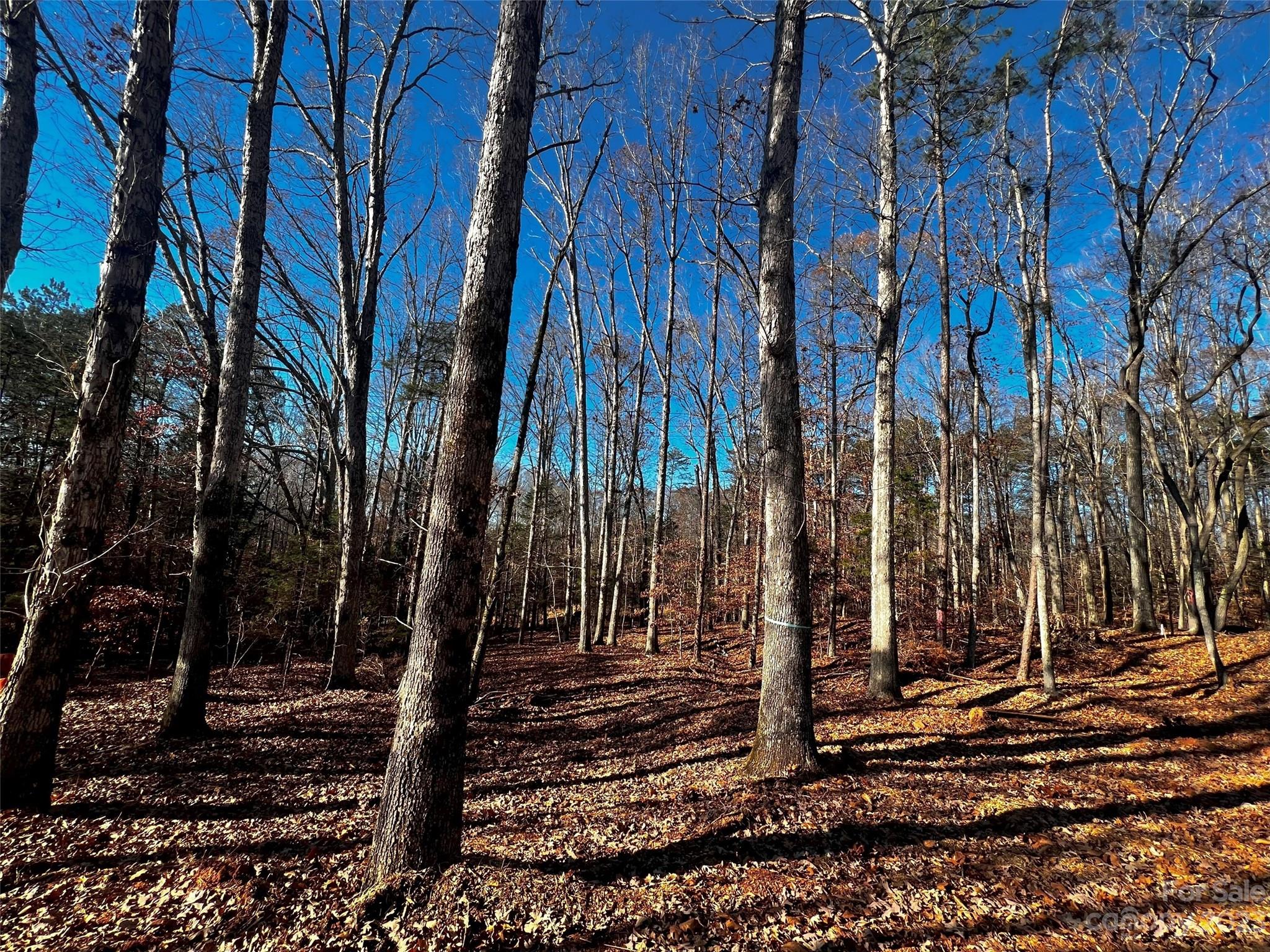 150 Copper Pine Lane Davidson NC 28036