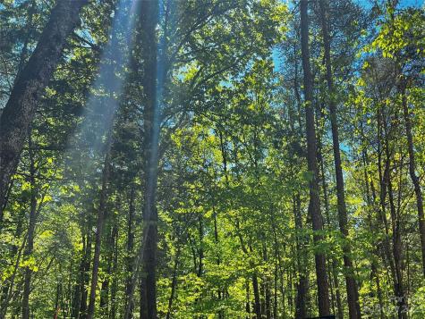 150 Copper Pine Lane Davidson NC 28036