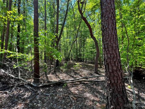 150 Copper Pine Lane Davidson NC 28036