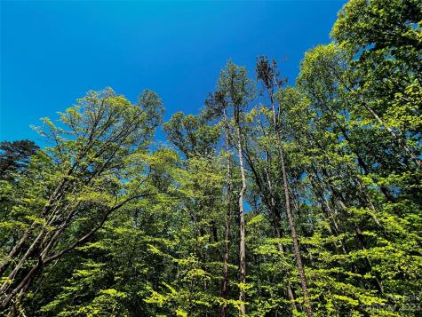 150 Copper Pine Lane Davidson NC 28036