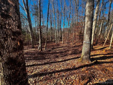 150 Copper Pine Lane Davidson NC 28036