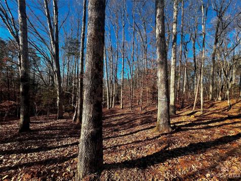 150 Copper Pine Lane Davidson NC 28036