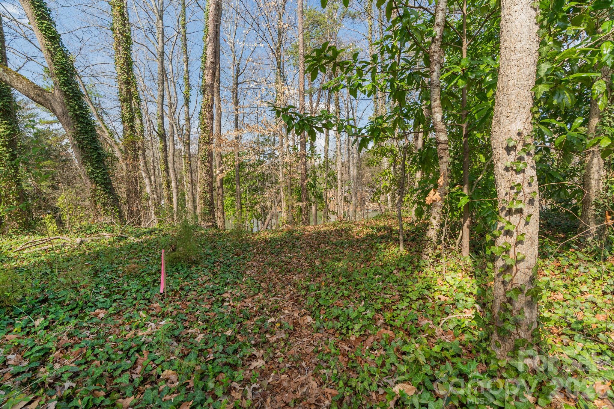 Tbd Oakwood Lane Charlotte NC 28215