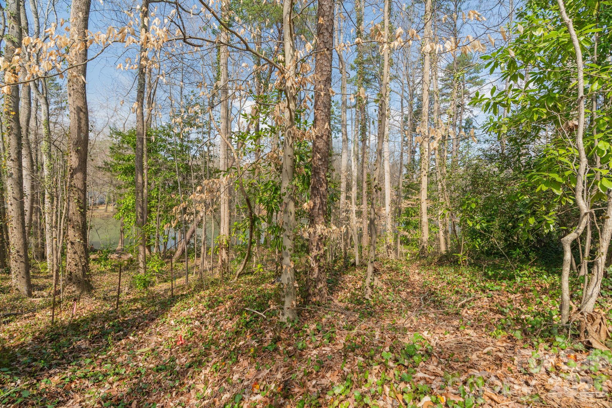 Tbd Oakwood Lane Charlotte NC 28215