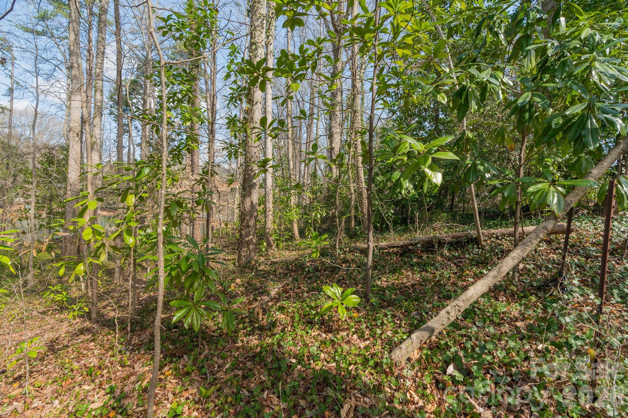 Tbd Oakwood Lane Charlotte NC 28215