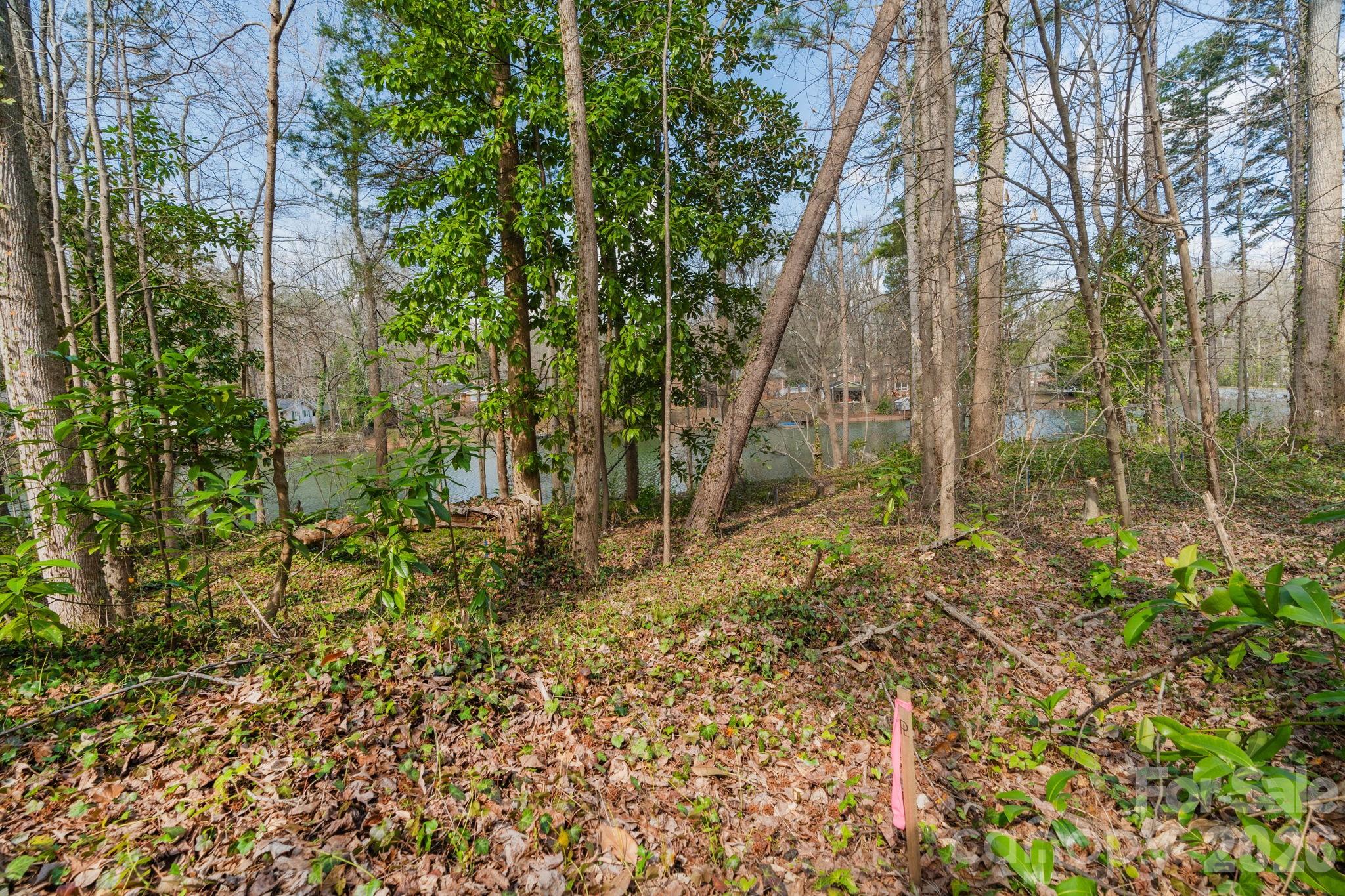 Tbd Oakwood Lane Charlotte NC 28215
